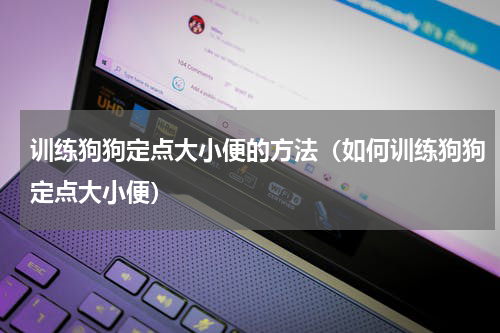 训练狗狗定点大小便的方法（如何训练狗狗定点大小便）