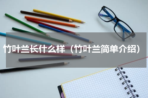 竹叶兰长什么样（竹叶兰简单介绍）