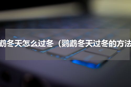 鹦鹉冬天怎么过冬（鹦鹉冬天过冬的方法）