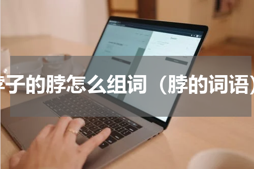 脖子的脖怎么组词（脖的词语）