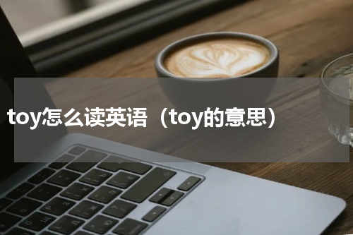 toy怎么读英语（toy的意思）