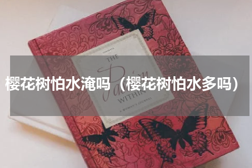 樱花树怕水淹吗（樱花树怕水多吗）