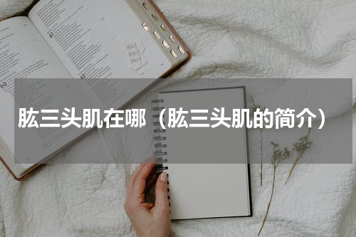 肱三头肌在哪（肱三头肌的简介）