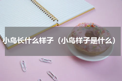 小鸟长什么样子（小鸟样子是什么）