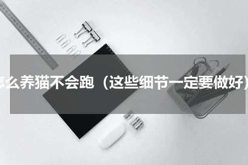 怎么养猫不会跑（这些细节一定要做好）