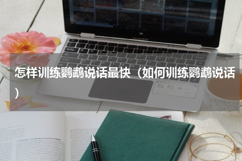怎样训练鹦鹉说话最快（如何训练鹦鹉说话）