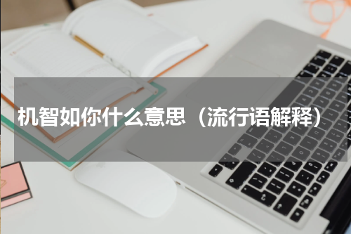机智如你什么意思（流行语解释）