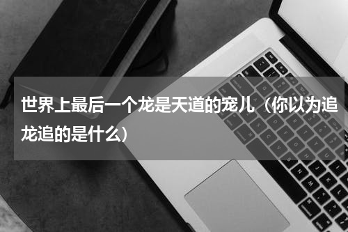 世界上最后一个龙是天道的宠儿（你以为追龙追的是什么）