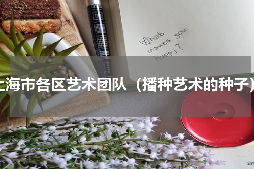 上海市各区艺术团队（播种艺术的种子）