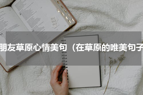 和朋友草原心情美句（在草原的唯美句子）