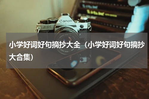 小学好词好句摘抄大全（小学好词好句摘抄大合集）