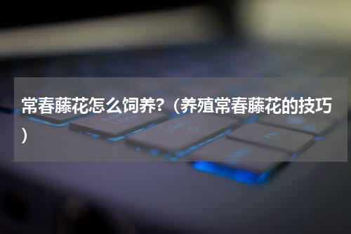 常春藤花怎么饲养?（养殖常春藤花的技巧）
