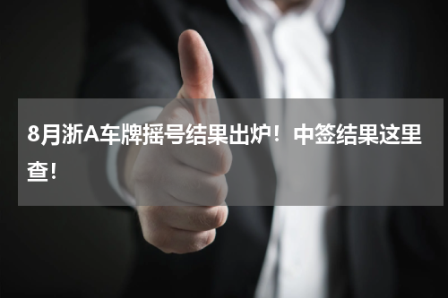 8月浙A车牌摇号结果出炉！中签结果这里查！