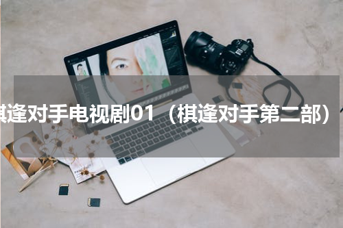 棋逢对手电视剧01（棋逢对手第二部）