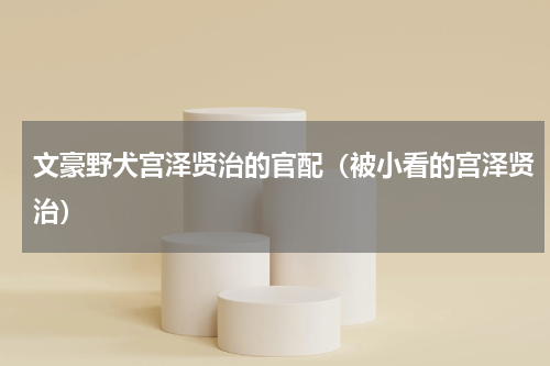 文豪野犬宫泽贤治的官配（被小看的宫泽贤治）