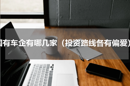 国有车企有哪几家（投资路线各有偏爱）