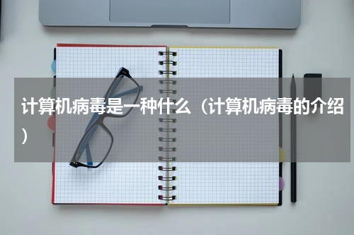 计算机病毒是一种什么（计算机病毒的介绍）