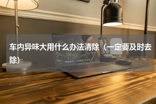 车内异味大用什么办法清除（一定要及时去除）