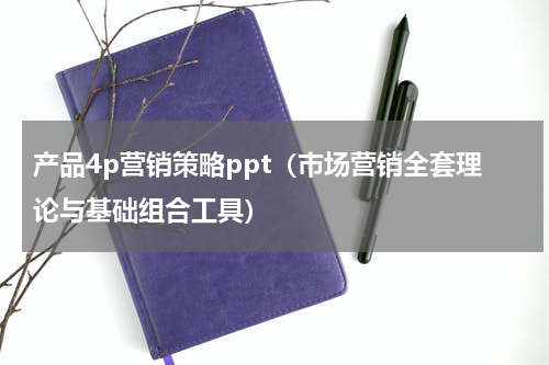 产品4p营销策略ppt（市场营销全套理论与基础组合工具）