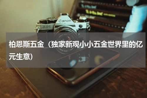 柏恩斯五金（独家新观小小五金世界里的亿元生意）