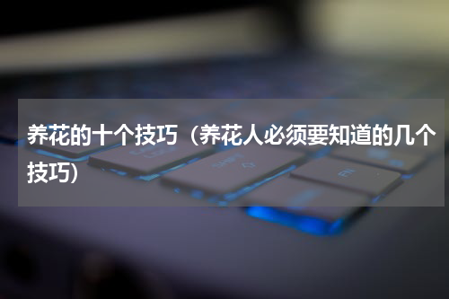 养花的十个技巧（养花人必须要知道的几个技巧）