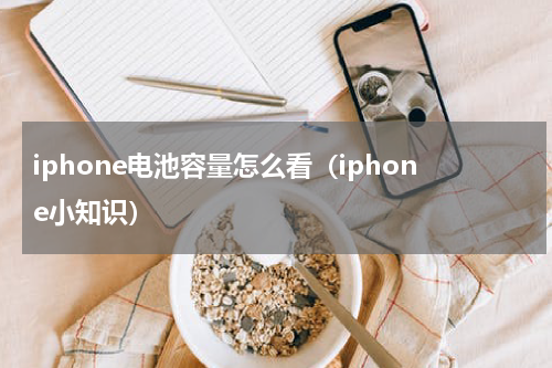 iphone电池容量怎么看（iphone小知识）