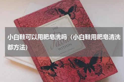 小白鞋可以用肥皂洗吗（小白鞋用肥皂清洗都方法）