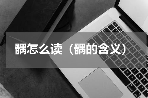 髃怎么读（髃的含义）