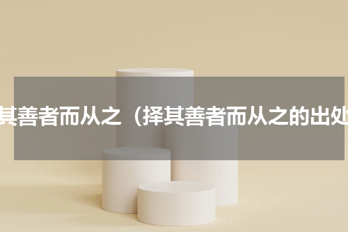择其善者而从之（择其善者而从之的出处）
