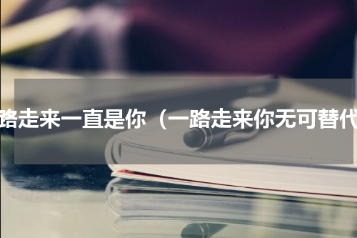 一路走来一直是你（一路走来你无可替代）
