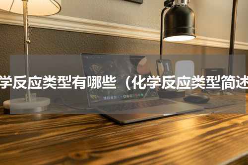 化学反应类型有哪些（化学反应类型简述）