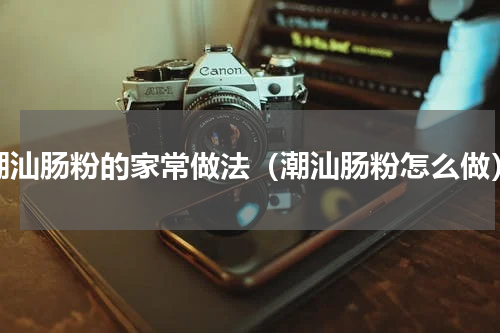 潮汕肠粉的家常做法（潮汕肠粉怎么做）