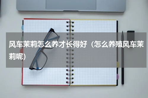 风车茉莉怎么养才长得好（怎么养殖风车茉莉呢）