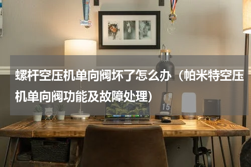 螺杆空压机单向阀坏了怎么办（帕米特空压机单向阀功能及故障处理）