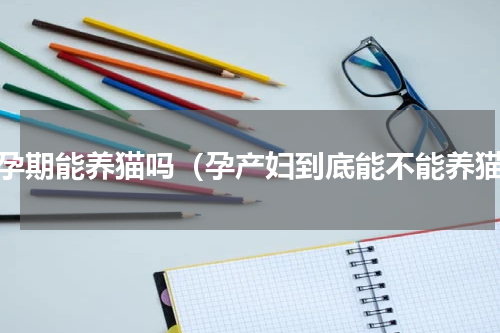 怀孕期能养猫吗（孕产妇到底能不能养猫）