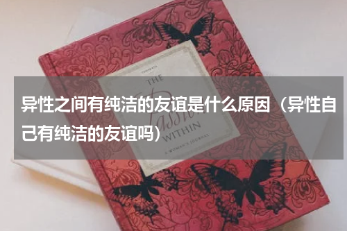 异性之间有纯洁的友谊是什么原因（异性自己有纯洁的友谊吗）