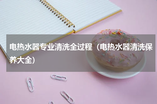 电热水器专业清洗全过程（电热水器清洗保养大全）