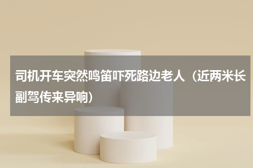 司机开车突然鸣笛吓死路边老人（近两米长副驾传来异响）