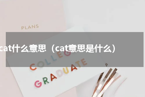 cat什么意思（cat意思是什么）