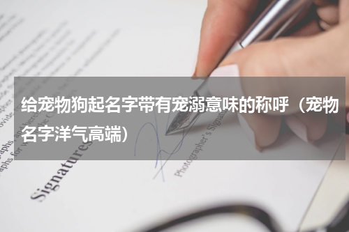 给宠物狗起名字带有宠溺意味的称呼（宠物名字洋气高端）