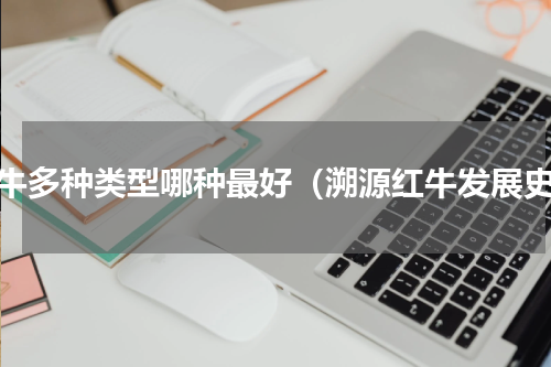 红牛多种类型哪种最好（溯源红牛发展史）
