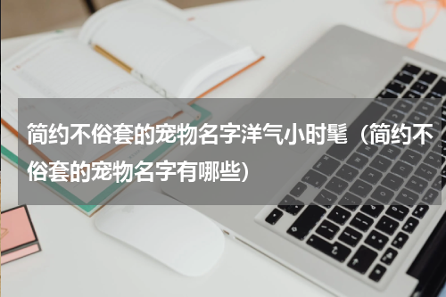简约不俗套的宠物名字洋气小时髦（简约不俗套的宠物名字有哪些）