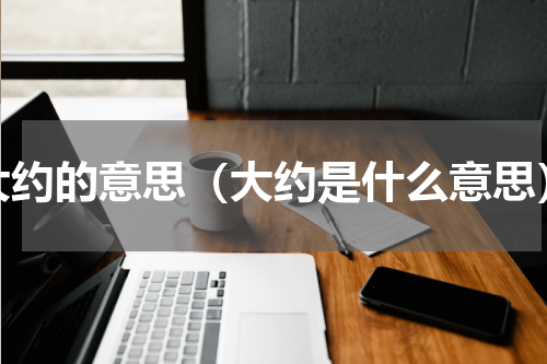大约的意思（大约是什么意思）