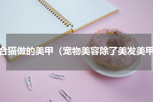 适合猫做的美甲（宠物美容除了美发美甲）