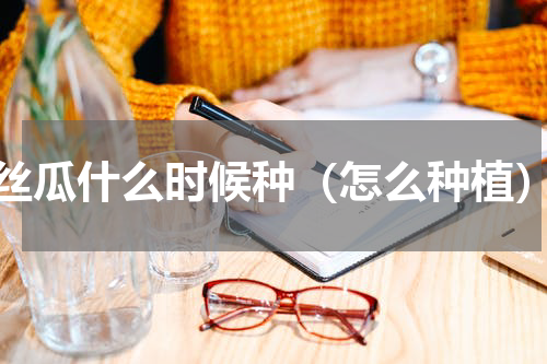 丝瓜什么时候种（怎么种植）