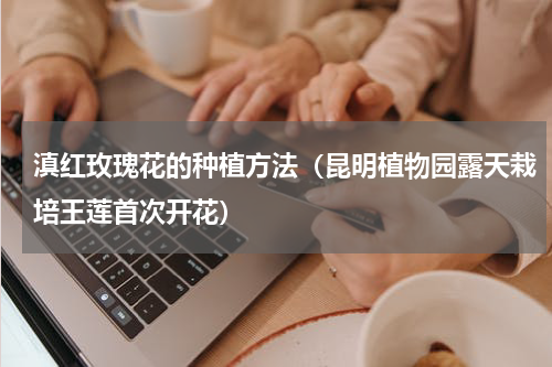 滇红玫瑰花的种植方法（昆明植物园露天栽培王莲首次开花）