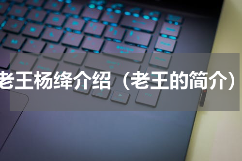 老王杨绛介绍（老王的简介）