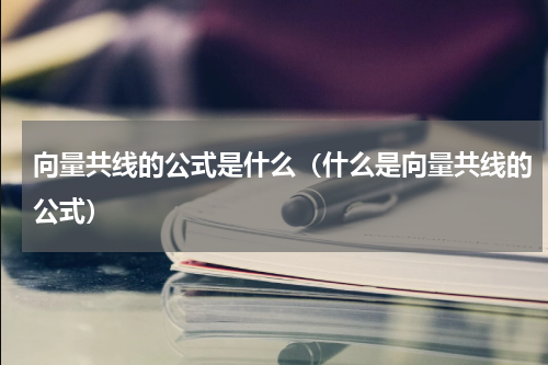 向量共线的公式是什么（什么是向量共线的公式）