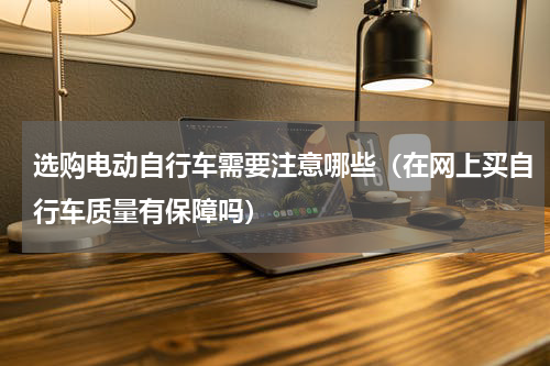 选购电动自行车需要注意哪些（在网上买自行车质量有保障吗）