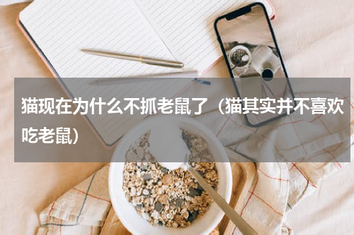 猫现在为什么不抓老鼠了（猫其实并不喜欢吃老鼠）